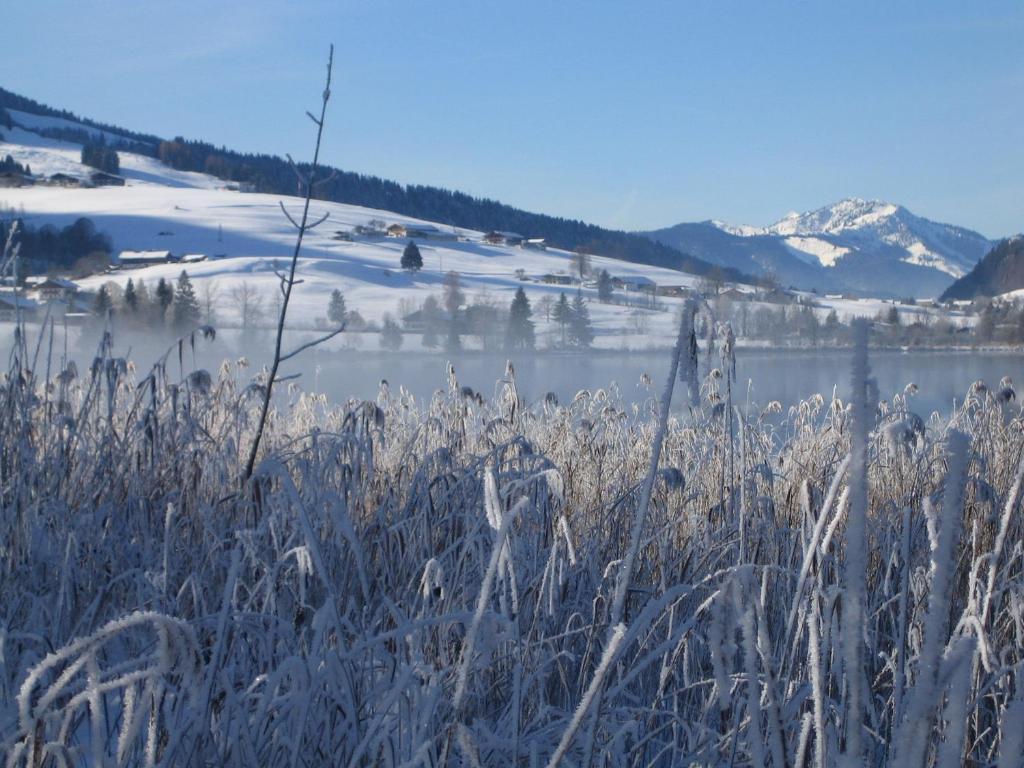 Gaestehaus Fahringer Walchsee Zewnętrze zdjęcie